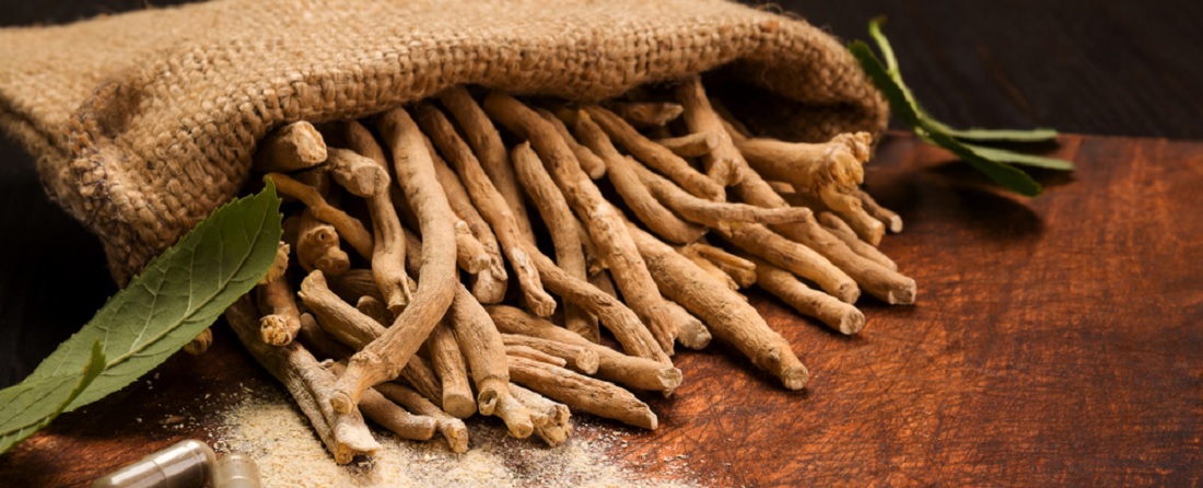The Most Effective Ashwagandha Supplements In 2025 – A Buyer’s Guide